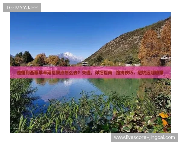 玩球App彩票数字高频玩法防骗避坑指南